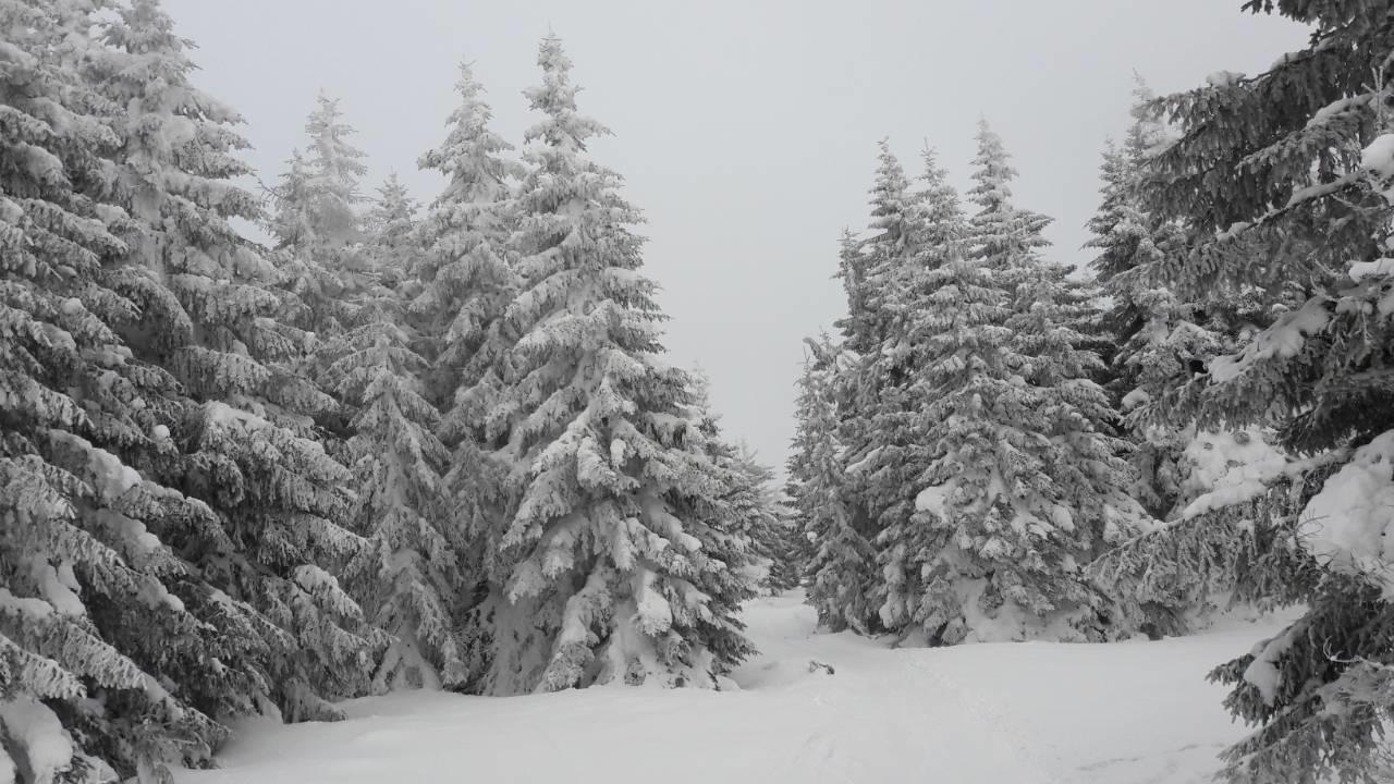 Lux Apartman B1 Milmari Kopaonik Exteriér fotografie
