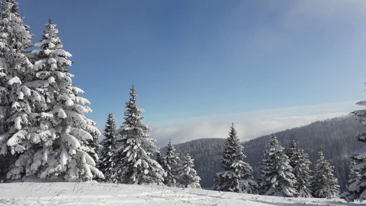 Lux Apartman B1 Milmari Kopaonik Exteriér fotografie